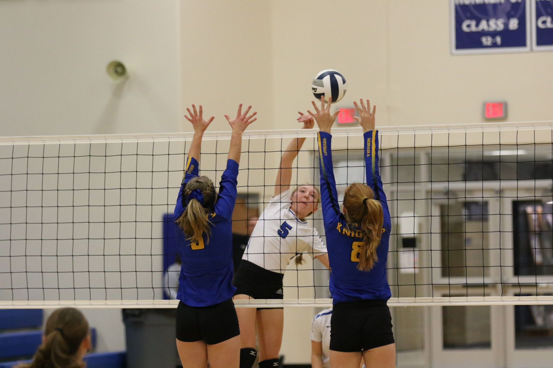 Volleyball (32).JPG